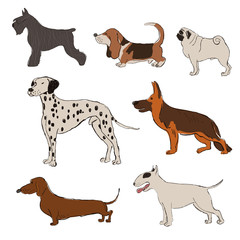 Collection Of Dog Breeds Icons