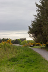 Fototapeta na wymiar Scotstown Moor Path in Aberdeen, Scotland