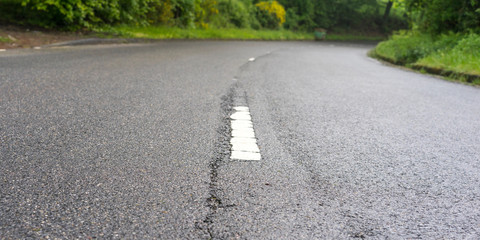 Markierung auf einer Straße im Wald