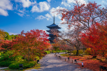 京都　東寺の紅葉