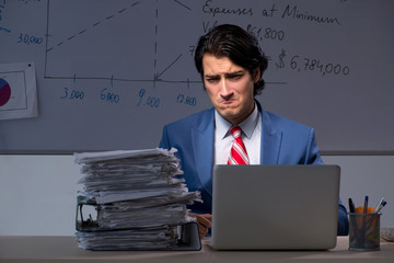 Young elegant financial specialist working in the office night t