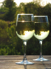               Glasses with white wine in nature  