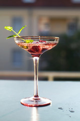 champagne with raspberry