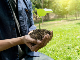 The young man used Siem to dig the soil to plant trees in his backyard during the day. And the young man made the soil to increase oxygen to the tree roots to grow faster