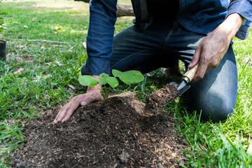 The young man used Siem to dig the soil to plant trees in his backyard during the day. And the...