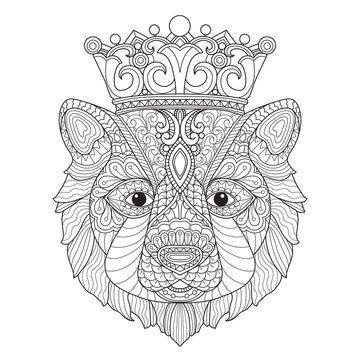 Hand drawn sketch illustration of bear king for adult coloring book.