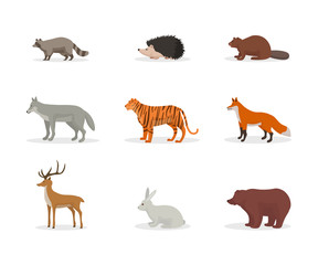 Forest and jungle animals vector illustration set isolated on white background