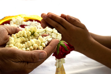 jasmine garland in women hand isolated on white background ,Thai mother's day concept ,Songkran Festival