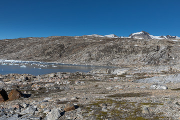 Die Wildnis Grönlands