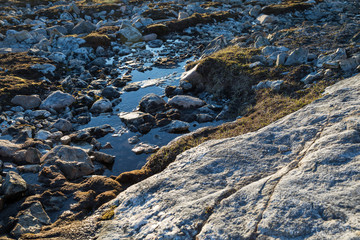 Die Wildnis Grönlands