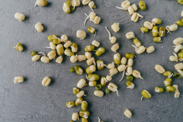 Fototapeta na wymiar Sprouted mung beans isolated on grey textured background. Green soybeans sprouts. Healthy and wellness diet concept. Organic gram.