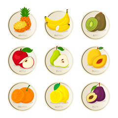 Tropical fruits vector illustrations set