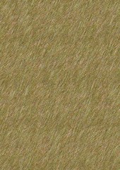 golden grass background