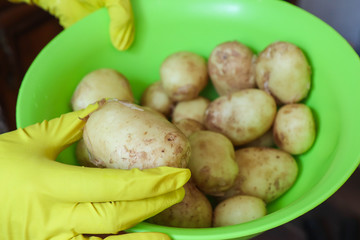 young potatoes in a cape, gloves are holding a potato