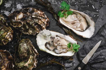 Fresh opened oysters with lemon, spices, salt, a knife and seaweed on slate stone background. Seafood, Shellfish, close up
