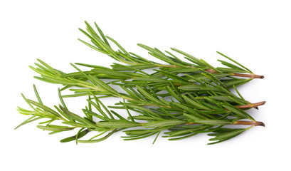 Fresh Rosemary isolated on a white background