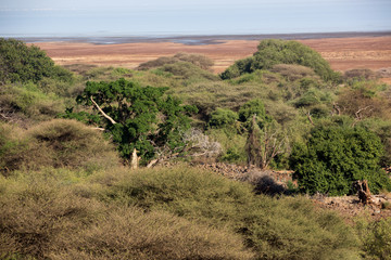 Tansania - Serengeti