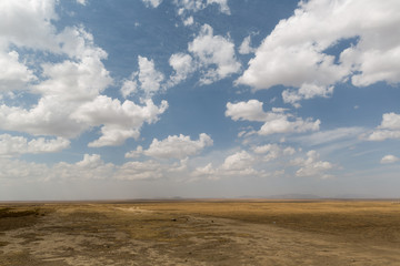 Fototapeta na wymiar Serengeti - Tansanias