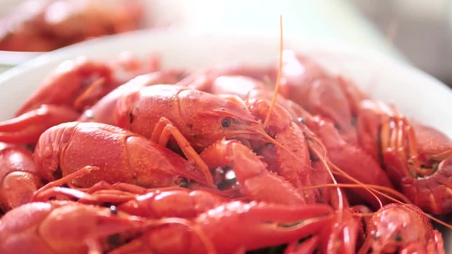 Footage red boiled crawfish close up on a tray with steam, tasty food, super slow motion.
