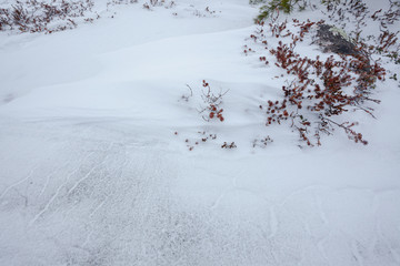 Snow and twigs on the ground at arctic hill © Juhku