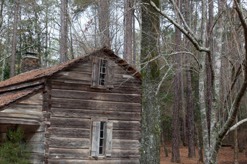 Log cabin outdoors in the woods