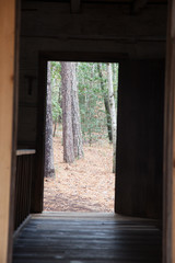 Obraz na płótnie Canvas Open wooden door to the woods outdoors