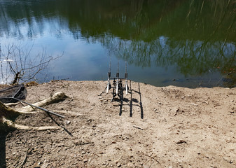 Fototapeta na wymiar Matériel de pêche à la carpe au brod d'un lac