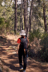 Woman doing trekking in nature