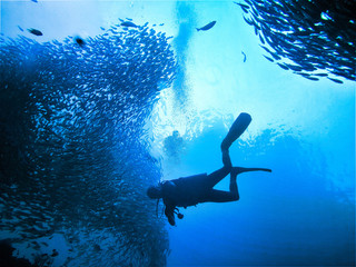 Underwaterphoto of a scuba diver and school of fish at the divesite Koh Bida Nok at Phi Phi Islands...
