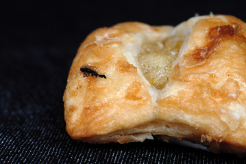 Freshly Baked Bun with Sweet Filling. Shallow depth of view