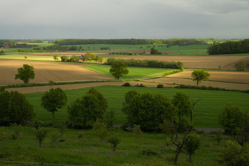 Fototapeta na wymiar rural landscape with green field and blue sky