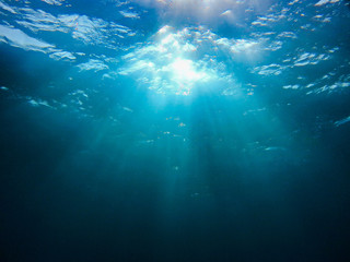 Fototapeta na wymiar Sunlights in the ocean - underwaterphoto from a scuba dive