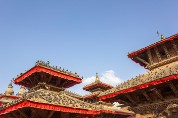 Naklejka premium a flock of gray pigeons sitting on the red roofs of ancient Asian temples against a clean blue sky