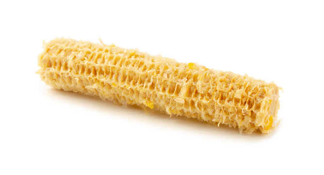 Fully eaten corn on the cob