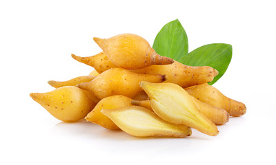 finger root (Krachai) Thai herb with leaf isolated on white background. full depth of field