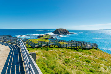 Natural and animals in Phillip Island