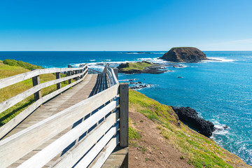 Natural and animals in Phillip Island