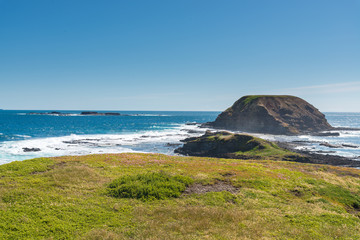 Natural and animals in Phillip Island