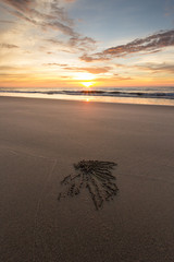 Sunset Beach Shoreline Pantai Dalit Tuaran Sabah Malaysia Asia Crab Hole