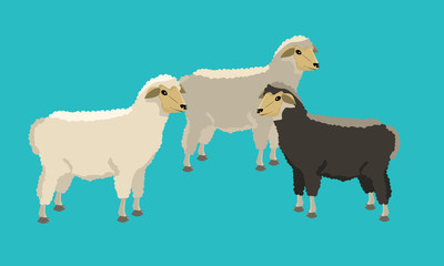 Group of black and white sheeps with solid and flat color design.