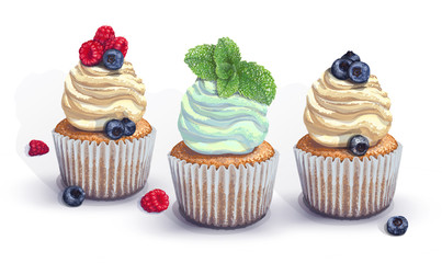 Set of vector cupcakes. A crumbly, gentle wet biscuit with a stunning soft air cream cheese ,mint-flavored, with juicy fresh blueberry, raspberry, mint. Paper got wet from the juiciness of the cake