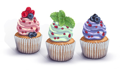 Set of vector cupcakes. A crumbly, gentle wet biscuit with a colorful soft air cream cheese ,mint-flavored, with juicy fresh blueberry, raspberry pieces, mint. Paper got wet from the juiciness