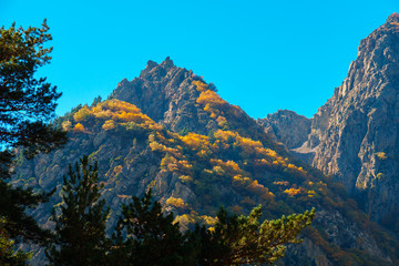 beautiful autumn landscape in Daryal gorge, autumn colors in the mountains of Georgia