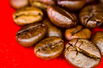 Brown roasted coffee beans on red background, close up, macro