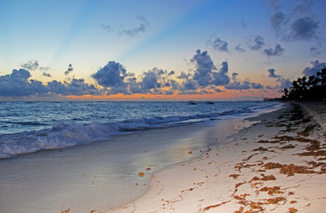 Sunset on the sandy beach. Evening on the ocean. Orange red sunset sandy beach and palm trees in the foreground in a contoured light. Memories of vacation vacations.