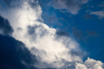 Naklejka na ściany i meble blue sky with clouds and an eagle