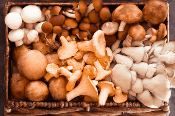 View from above of wicker basket with forest rare delicious edible mushrooms on a dark textural...