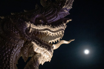 Head of Naga or Buddhist dragon on black background and the Full moon in the dark night. Abstract...