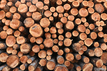 Lumber Industry Abstract