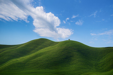 Fototapeta premium colline Toscane